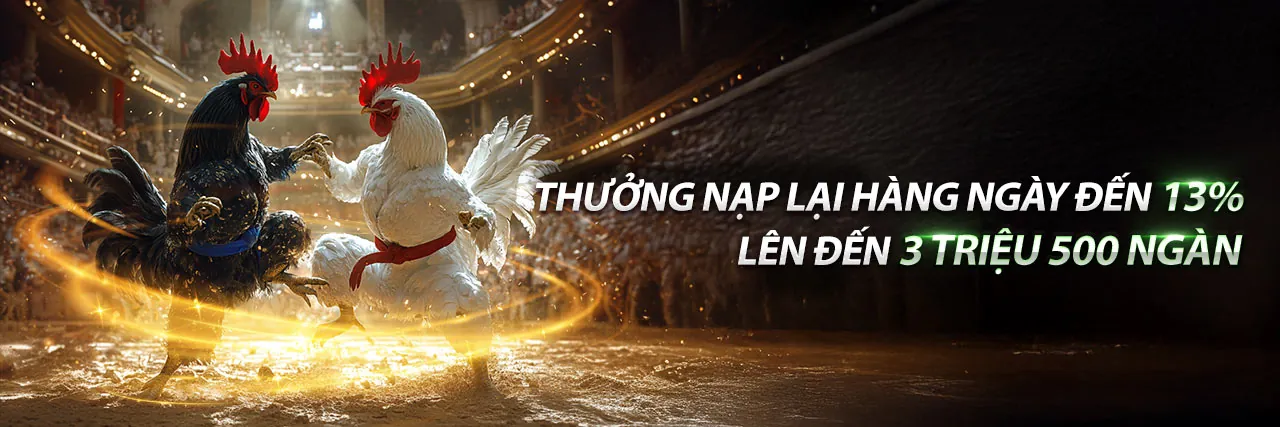 Chương Trình VIP wim55 nổ hũ